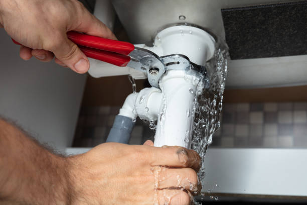 Best Water damage contractors near me  in Carterville, MO