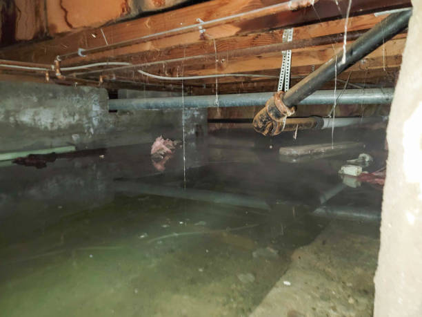 Trusted Carterville, MO Water damage restoration Experts