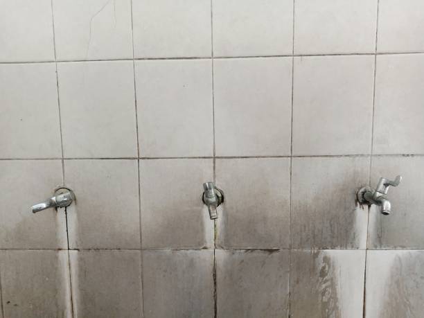Local water damage restoration in Carterville, MO