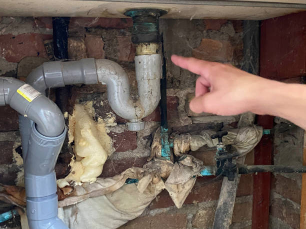 Best Ceiling water damage repair  in Carterville, MO