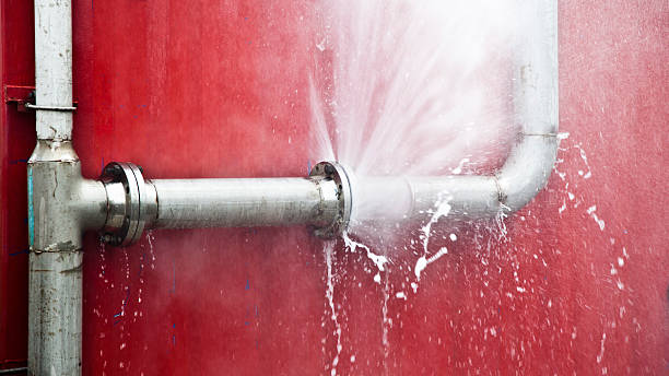 Best Water damage restoration company  in Carterville, MO